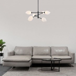 Люстра на штанге Eurosvet Sinki 30189/6 черный в Кунгуре - kungur.mebel24.online | фото 5