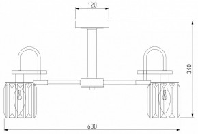 Люстра на штанге Eurosvet Tenia 70090/5 графит в Кунгуре - kungur.mebel24.online | фото 4