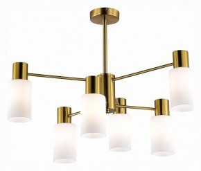 Люстра на штанге EVOLUCE Gessi SLE1139-302-06 в Кунгуре - kungur.mebel24.online | фото 2