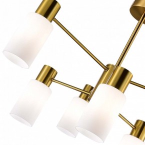 Люстра на штанге EVOLUCE Gessi SLE1139-302-06 в Кунгуре - kungur.mebel24.online | фото 3