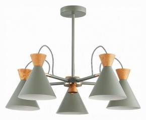Люстра на штанге EVOLUCE Modica SLE125112-05 в Кунгуре - kungur.mebel24.online | фото 1