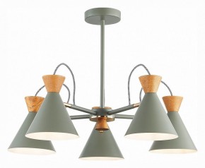 Люстра на штанге EVOLUCE Modica SLE125112-05 в Кунгуре - kungur.mebel24.online | фото 2