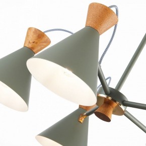 Люстра на штанге EVOLUCE Modica SLE125112-05 в Кунгуре - kungur.mebel24.online | фото 3
