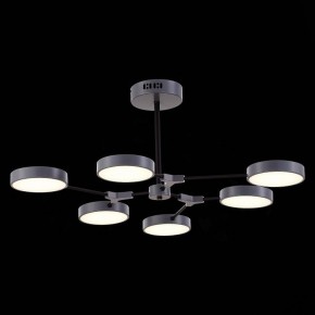 Люстра на штанге EVOLUCE Monta SLE6003-702-06 в Кунгуре - kungur.mebel24.online | фото 5