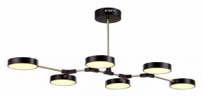 Люстра на штанге EVOLUCE Monta SLE6004-402-06 в Кунгуре - kungur.mebel24.online | фото 2