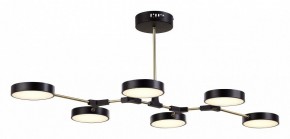 Люстра на штанге EVOLUCE Monta SLE6004-402-06 в Кунгуре - kungur.mebel24.online | фото 4