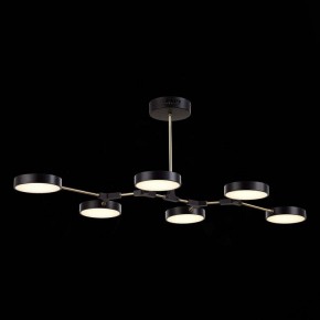 Люстра на штанге EVOLUCE Monta SLE6004-402-06 в Кунгуре - kungur.mebel24.online | фото 5