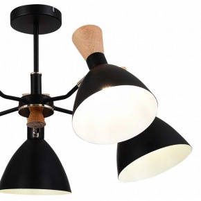 Люстра на штанге EVOLUCE VISTA SLE1256-402-05 в Кунгуре - kungur.mebel24.online | фото 10