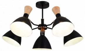 Люстра на штанге EVOLUCE VISTA SLE1256-402-05 в Кунгуре - kungur.mebel24.online | фото 6