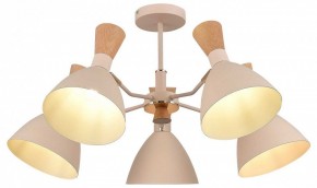 Люстра на штанге EVOLUCE VISTA SLE1256-502-05 в Кунгуре - kungur.mebel24.online | фото 6