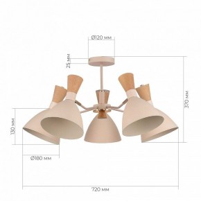 Люстра на штанге EVOLUCE VISTA SLE1256-502-05 в Кунгуре - kungur.mebel24.online | фото 8
