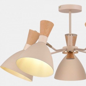 Люстра на штанге EVOLUCE VISTA SLE1256-502-05 в Кунгуре - kungur.mebel24.online | фото 9