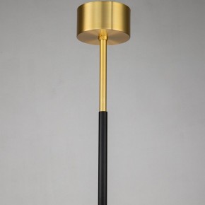 Люстра на штанге Favourite Maximo 2623-12P в Кунгуре - kungur.mebel24.online | фото 7