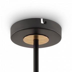 Люстра на штанге Freya Hats FR5370CL-04B в Кунгуре - kungur.mebel24.online | фото 6
