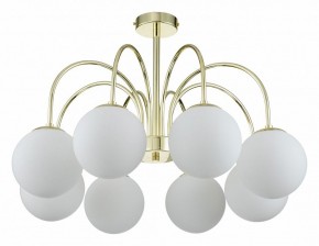 Люстра на штанге Indigo Voga 13017/8R Gold в Кунгуре - kungur.mebel24.online | фото 1
