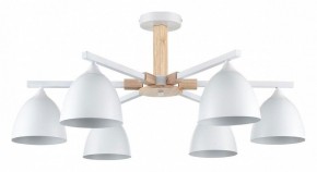 Люстра на штанге Lumion Colange 8095/6C в Кунгуре - kungur.mebel24.online | фото