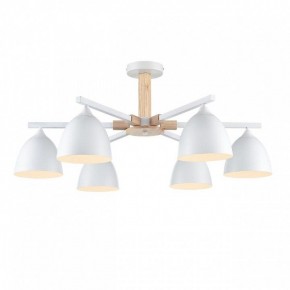 Люстра на штанге Lumion Colange 8095/6C в Кунгуре - kungur.mebel24.online | фото 2