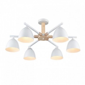 Люстра на штанге Lumion Colange 8095/6C в Кунгуре - kungur.mebel24.online | фото 3