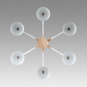 Люстра на штанге Lumion Colange 8095/6C в Кунгуре - kungur.mebel24.online | фото 4