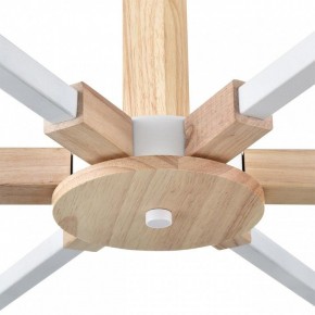 Люстра на штанге Lumion Colange 8095/6C в Кунгуре - kungur.mebel24.online | фото 7