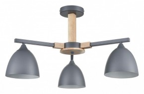 Люстра на штанге Lumion Colange 8096/3C в Кунгуре - kungur.mebel24.online | фото