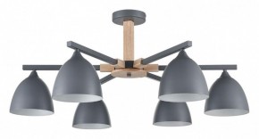Люстра на штанге Lumion Colange 8096/6C в Кунгуре - kungur.mebel24.online | фото
