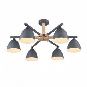 Люстра на штанге Lumion Colange 8096/6C в Кунгуре - kungur.mebel24.online | фото 3