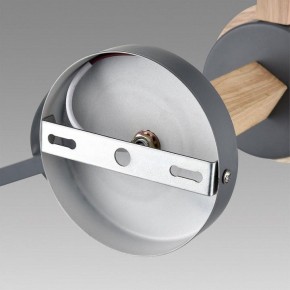 Люстра на штанге Lumion Colange 8096/6C в Кунгуре - kungur.mebel24.online | фото 6