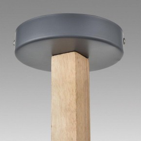 Люстра на штанге Lumion Colange 8096/6C в Кунгуре - kungur.mebel24.online | фото 9