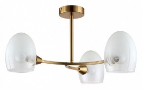Люстра на штанге Lumion Kendall 6514/3C в Кунгуре - kungur.mebel24.online | фото