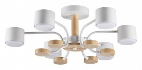 Люстра на штанге Lumion Rondo 8231/6C в Кунгуре - kungur.mebel24.online | фото