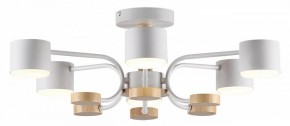 Люстра на штанге Lumion Rondo 8231/6C в Кунгуре - kungur.mebel24.online | фото 2