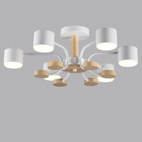 Люстра на штанге Lumion Rondo 8231/6C в Кунгуре - kungur.mebel24.online | фото 4