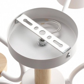 Люстра на штанге Lumion Rondo 8231/6C в Кунгуре - kungur.mebel24.online | фото 6