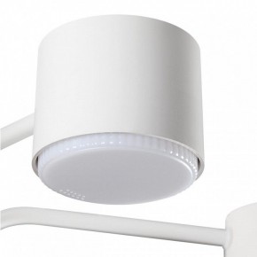 Люстра на штанге Lumion Rondo 8231/6C в Кунгуре - kungur.mebel24.online | фото 7