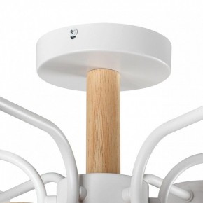Люстра на штанге Lumion Rondo 8231/6C в Кунгуре - kungur.mebel24.online | фото 8