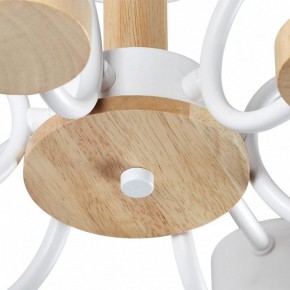 Люстра на штанге Lumion Rondo 8231/6C в Кунгуре - kungur.mebel24.online | фото 9