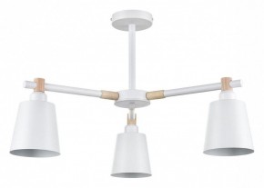 Люстра на штанге Lumion Rosalina 8097/3C в Кунгуре - kungur.mebel24.online | фото