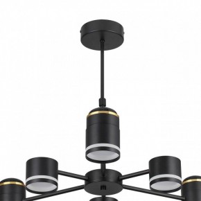 Люстра на штанге Lumion Virsava 8234/6C в Кунгуре - kungur.mebel24.online | фото 5