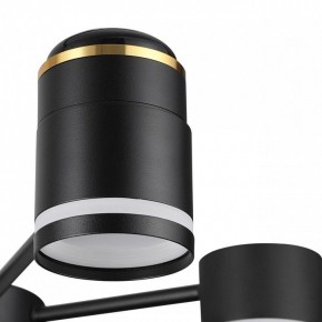 Люстра на штанге Lumion Virsava 8234/6C в Кунгуре - kungur.mebel24.online | фото 8