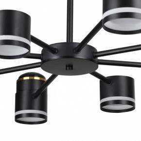 Люстра на штанге Lumion Virsava 8234/8C в Кунгуре - kungur.mebel24.online | фото 10