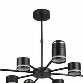 Люстра на штанге Lumion Virsava 8234/8C в Кунгуре - kungur.mebel24.online | фото 5