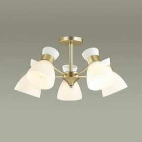Люстра на штанге Lumion Wilma 4535/5C в Кунгуре - kungur.mebel24.online | фото 3