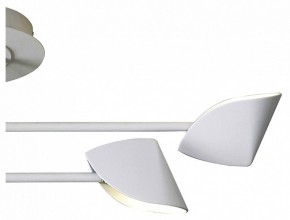 Люстра на штанге Mantra Capuccina 7574 в Кунгуре - kungur.mebel24.online | фото 3