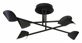 Люстра на штанге Mantra Capuccina 7581 в Кунгуре - kungur.mebel24.online | фото 1