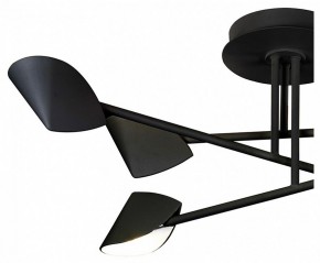 Люстра на штанге Mantra Capuccina 7581 в Кунгуре - kungur.mebel24.online | фото 2