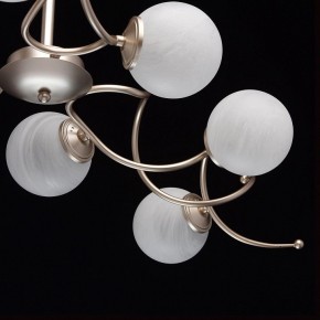 Люстра на штанге MW-Light Оливия 5 306012709 в Кунгуре - kungur.mebel24.online | фото 10