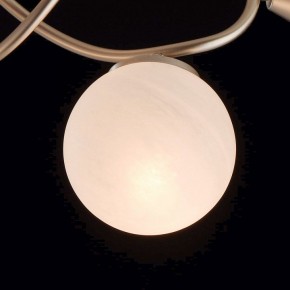 Люстра на штанге MW-Light Оливия 5 306012709 в Кунгуре - kungur.mebel24.online | фото 6