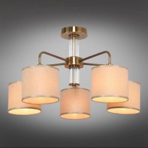 Люстра на штанге Omnilux Barumini OML-56907-05 в Кунгуре - kungur.mebel24.online | фото 2