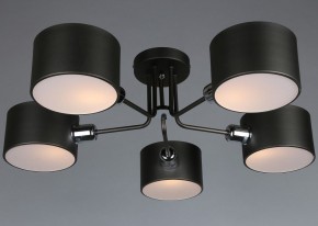 Люстра на штанге Omnilux Lisera OML-54507-05 в Кунгуре - kungur.mebel24.online | фото 3